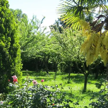 Bed & Breakfast Cristina 4*