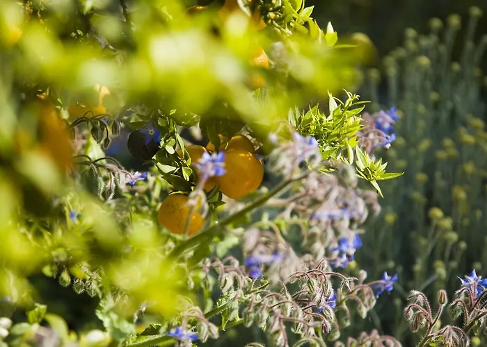 Bed & Breakfast Cristina